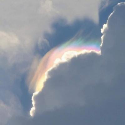 Taufik Hidayat avatar